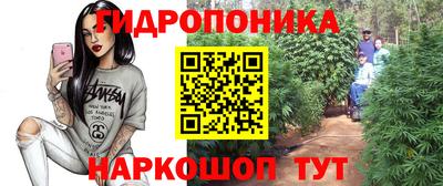 PSILOCYBIN Обнинск