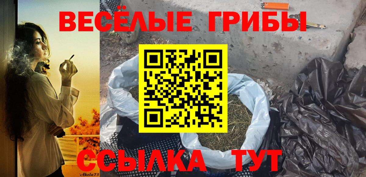 Тимашёвск  Псилоцибиновые грибы мухоморы  Псилоцибиновые грибы Magic Shrooms  Вход с VPN 